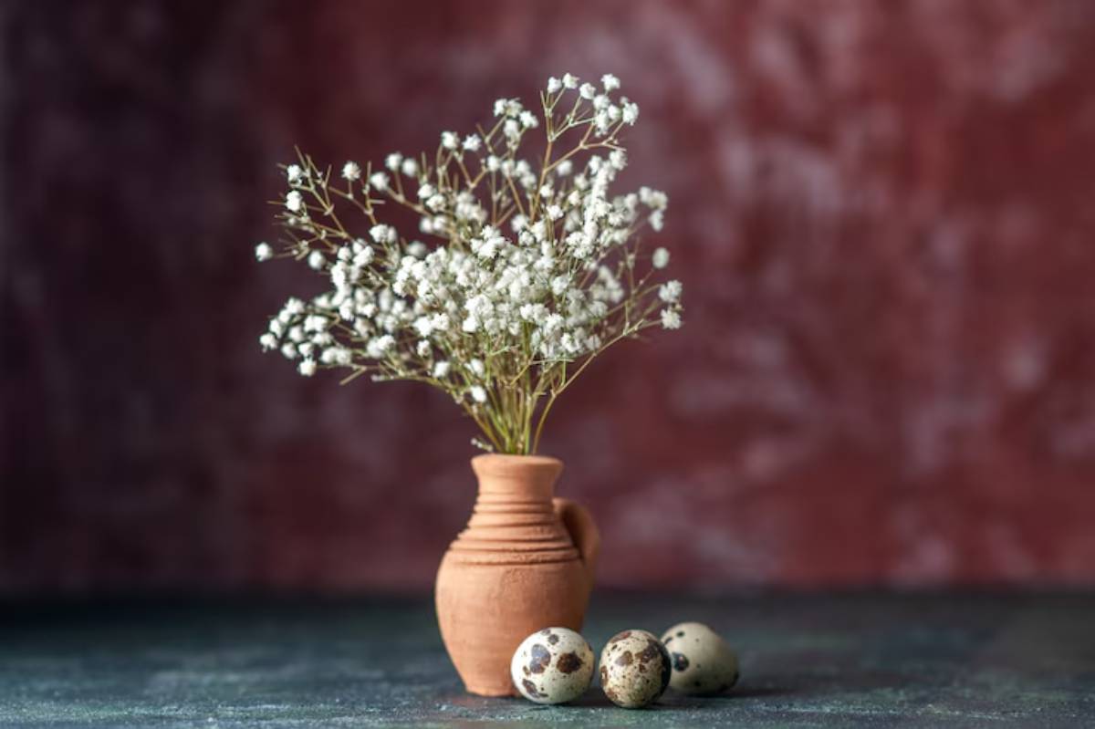 A terracotta vase with delicate white flowers sits beside three speckled quail eggs, set against a textured maroon backdrop.