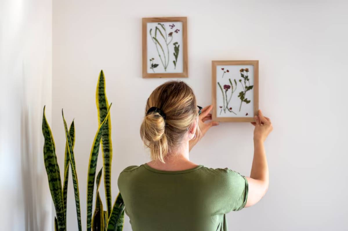 A woman in a green shirt hangs framed pressed flowers on a white wall next to a tall snake plant.